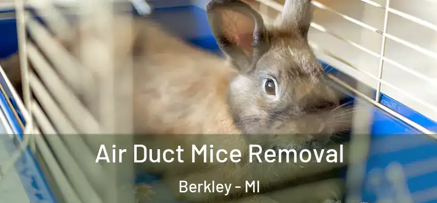  Air Duct Mice Removal Berkley - MI