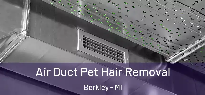 Air Duct Pet Hair Removal Berkley - MI
