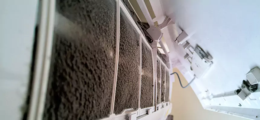 Preventive Air Duct Bacteria Removal in Berkley