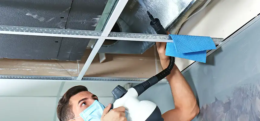 Our Air Duct Rodent Removal Services in Berkley, MI