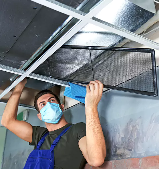 About Air Duct Bacteria Removal in Berkley