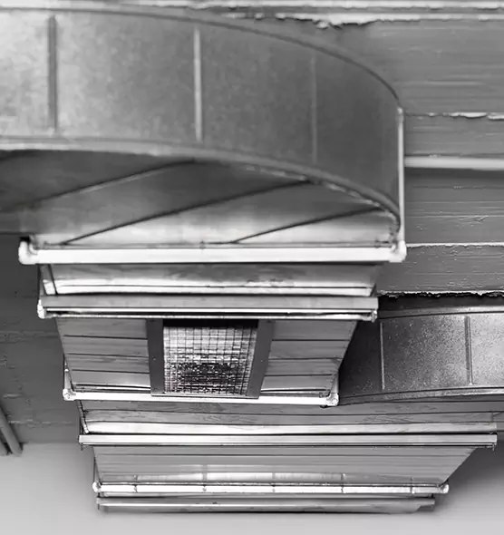 Professional Air Duct Pest Removal in Berkley, MI