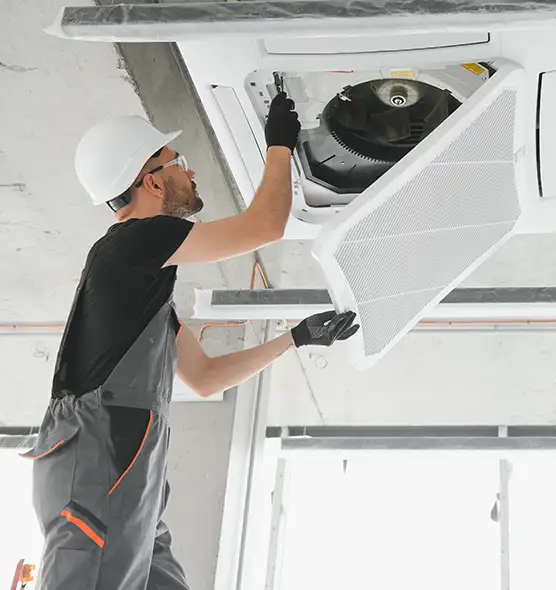 About Air Duct Rodent Removal in Berkley, MI