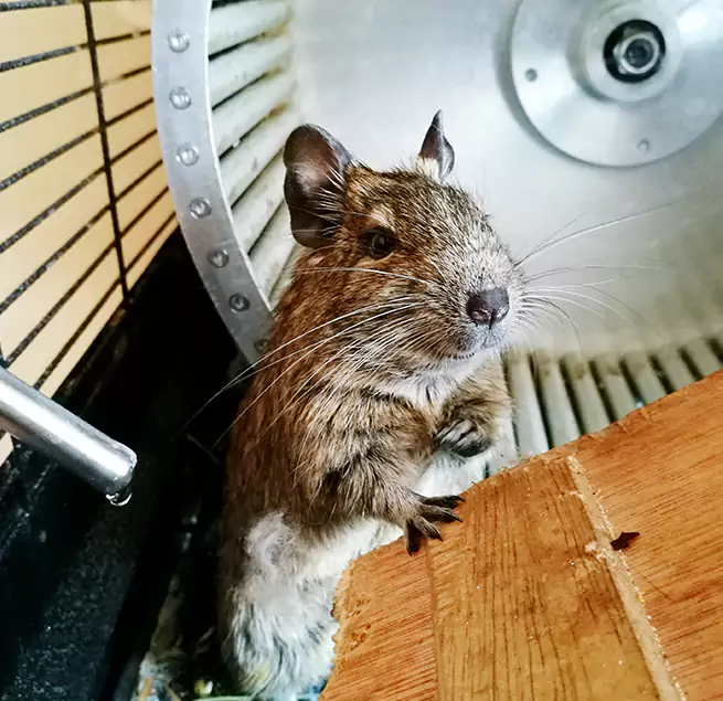 Why Homeowners & Businesses Trust Us Berkley, MI