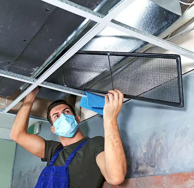 Why Homeowners Businesses Trust Us in Berkley, MI